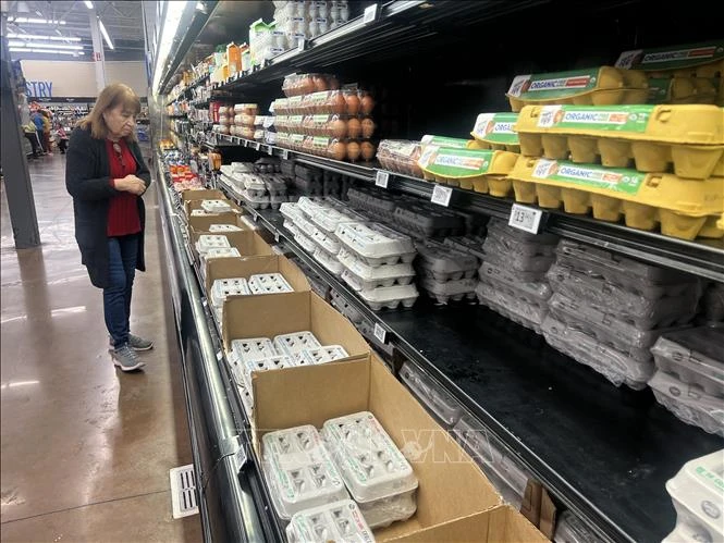 Giới chức Mỹ đạt thỏa thuận dàn xếp với các doanh nghiệp thổi phồng giá trứng - Hình 1