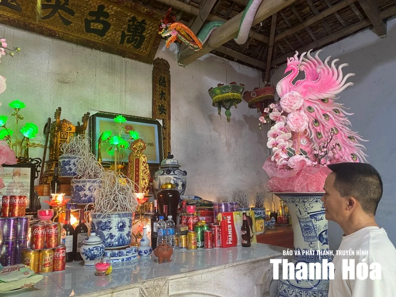 Trên đỉnh núi Sồi - Hình 1