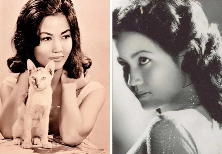 Việt Nam có duy nhất 1 mỹ nhân khiến cả thế giới rơi lệ, đổi đời thành minh tinh Hollywood chỉ nhờ đi dạo phố - Hình 4