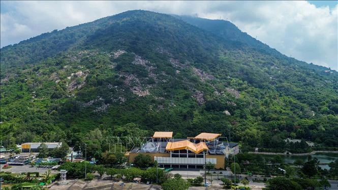 Kết nối hệ sinh thái rừng với không gian di sản, phát triển du lịch xanh - Hình 5