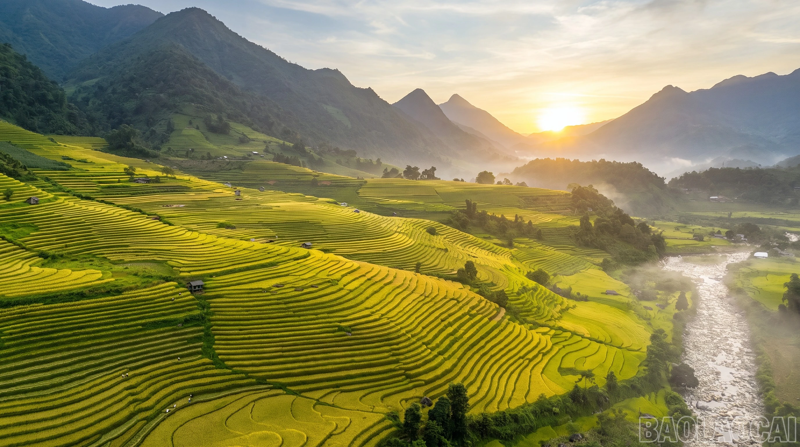 Mường Bo mùa lúa chín - Vẻ đẹp bình yên nơi thung lũng cuối trời Sa Pa - Hình 1