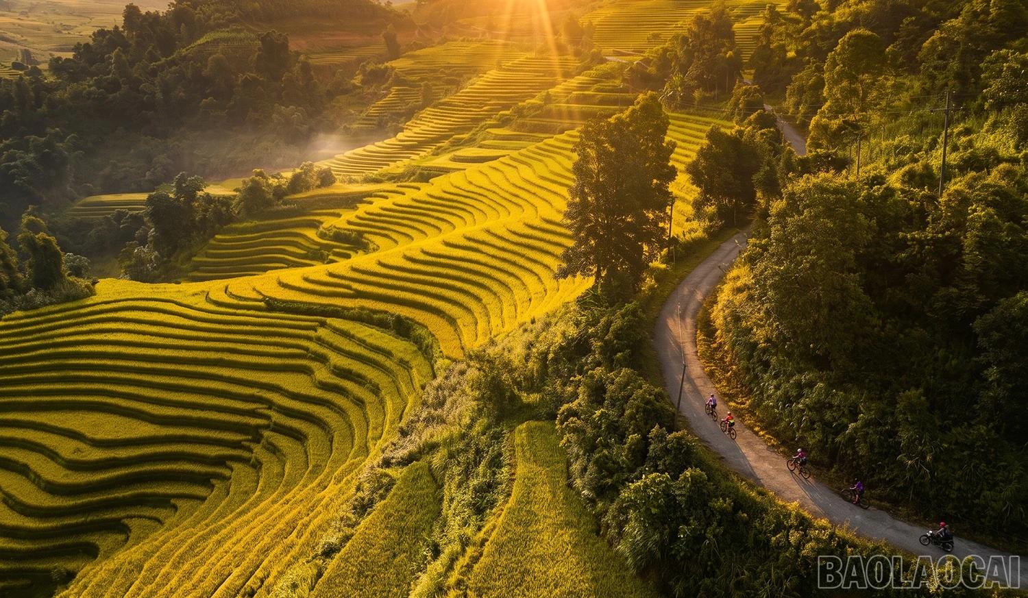 Mường Bo mùa lúa chín - Vẻ đẹp bình yên nơi thung lũng cuối trời Sa Pa - Hình 11