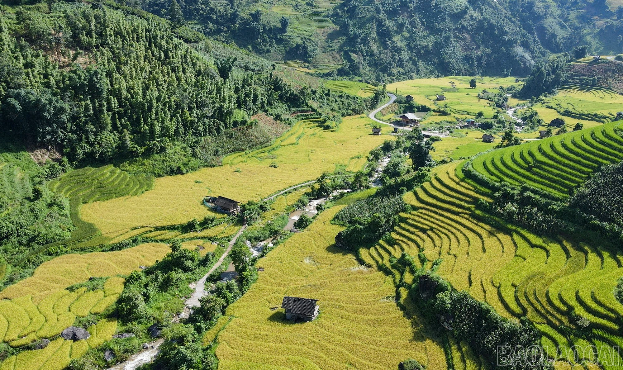 Mường Bo mùa lúa chín - Vẻ đẹp bình yên nơi thung lũng cuối trời Sa Pa - Hình 6