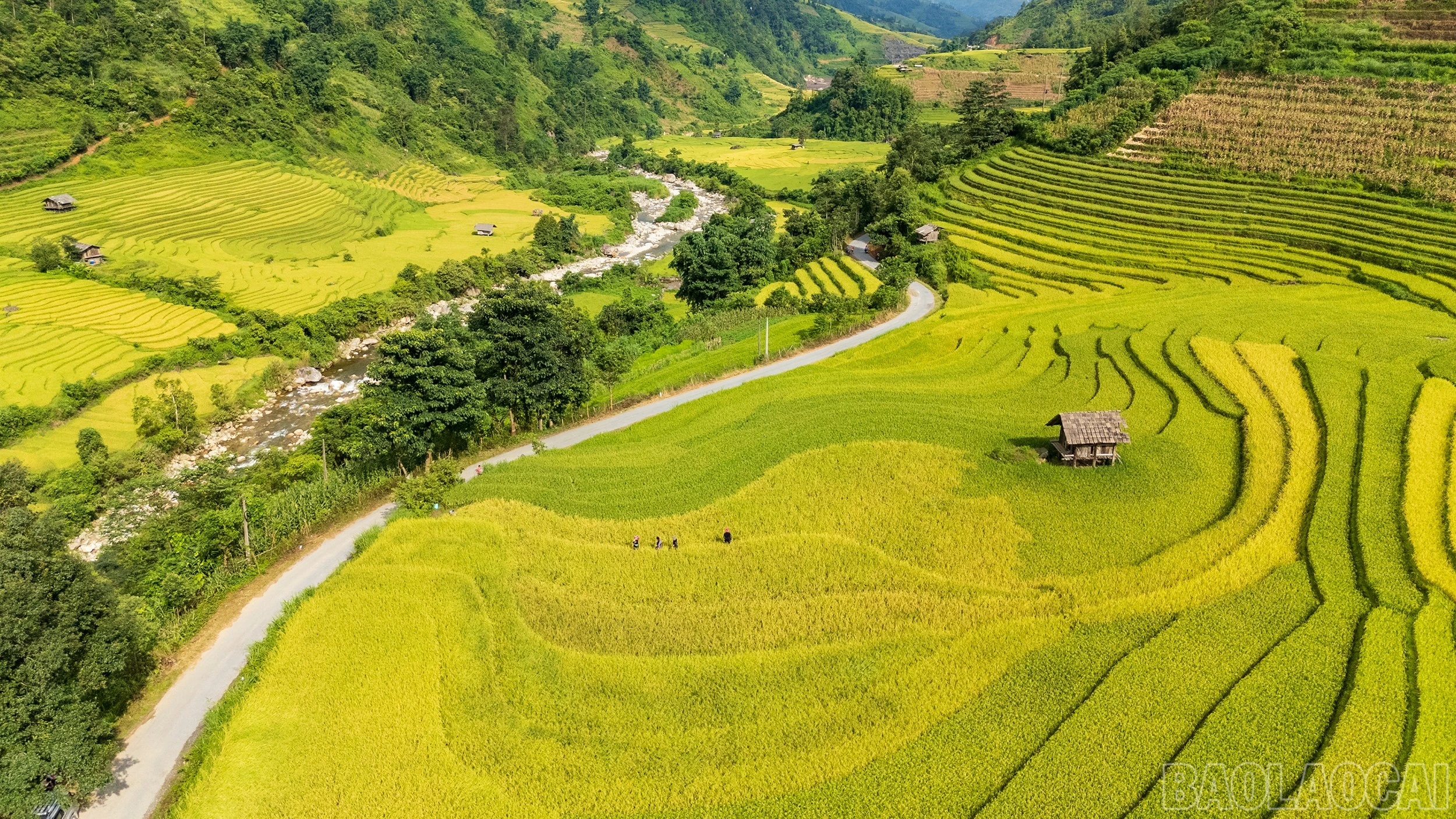 Mường Bo mùa lúa chín - Vẻ đẹp bình yên nơi thung lũng cuối trời Sa Pa - Hình 8