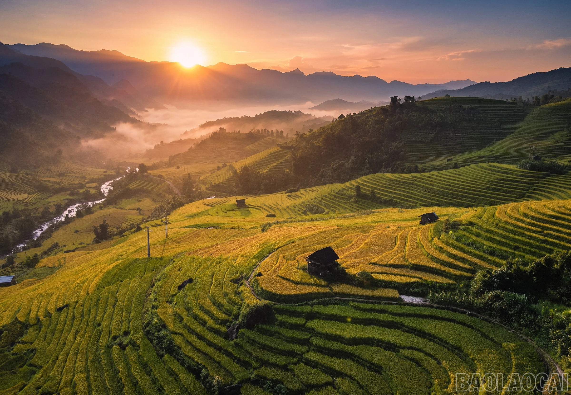 Mường Bo mùa lúa chín - Vẻ đẹp bình yên nơi thung lũng cuối trời Sa Pa - Hình 2