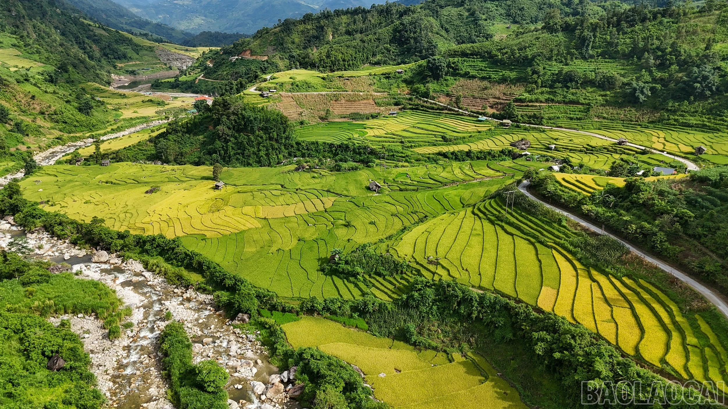 Mường Bo mùa lúa chín - Vẻ đẹp bình yên nơi thung lũng cuối trời Sa Pa - Hình 9