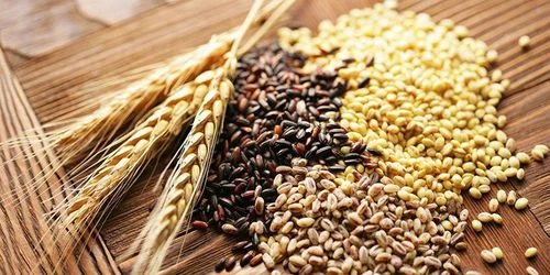 Người bệnh đái tháo đường ăn tỏi mỗi ngày có lợi ích gì? - Hình 2