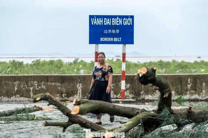 Không nhận ra mũi Sa Vĩ sau khi bão quét qua - Hình 9
