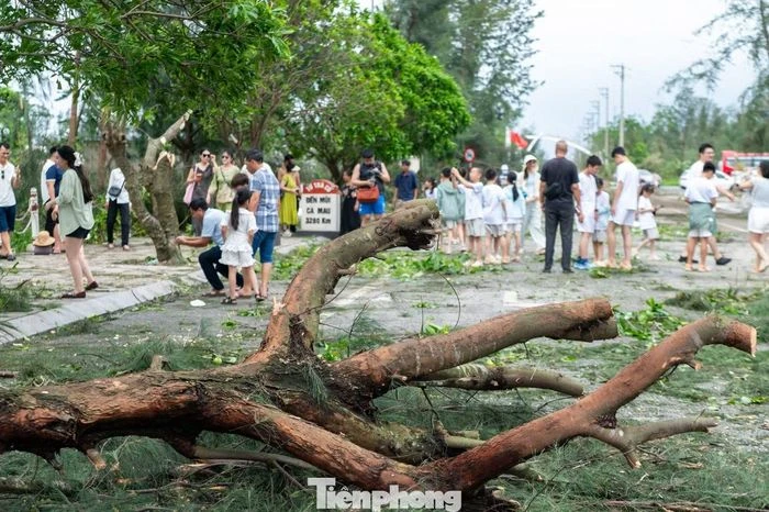 Không nhận ra mũi Sa Vĩ sau khi bão quét qua - Hình 7