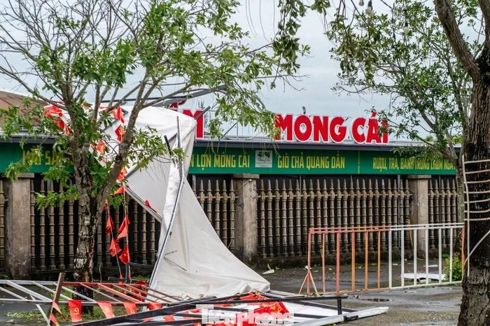 Không nhận ra mũi Sa Vĩ sau khi bão quét qua - Hình 1