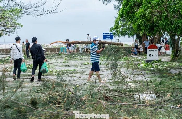 Không nhận ra mũi Sa Vĩ sau khi bão quét qua - Hình 11