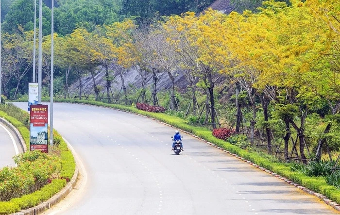 Những cung đường đẹp nhất quê Tiểu Vy dành cho người mê xê dịch - Hình 5