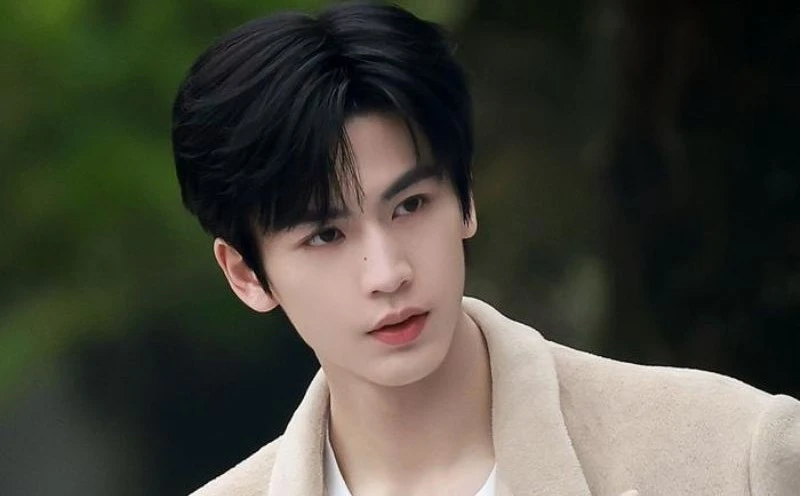 Trương Lăng Hách đừng làm loạn nữa! - Hình 3