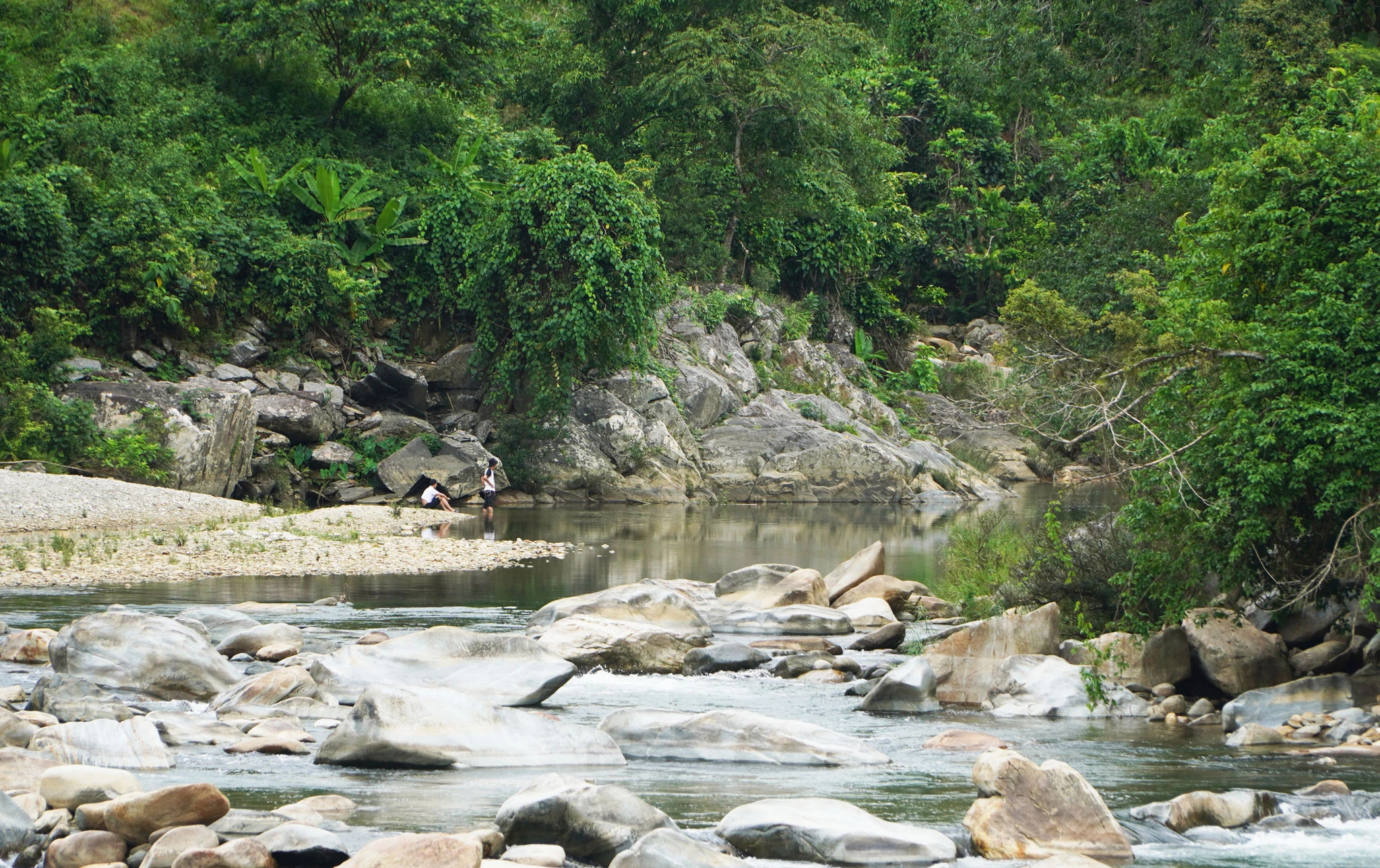 Để hương quế Trà Leng bay xa... - Hình 4