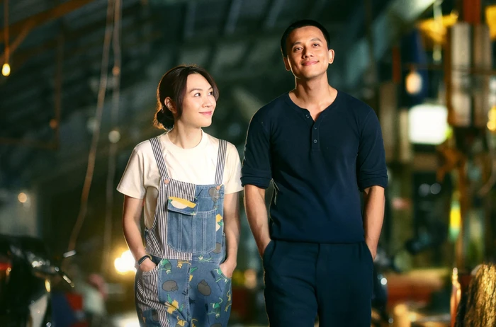 Tài sản chung 183 tỷ đồng của Mỹ Tâm và Mai Tài Phến - Hình 3