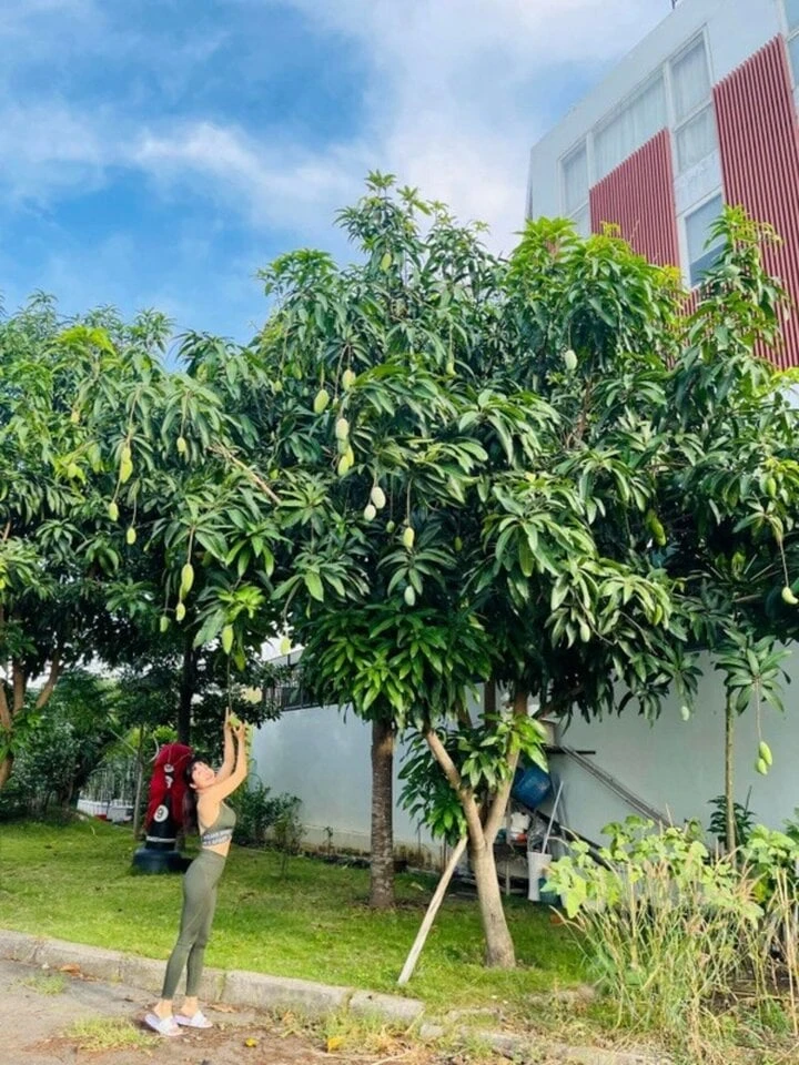 Căn nhà ở Việt Nam của Ốc Thanh Vân - Hình 3