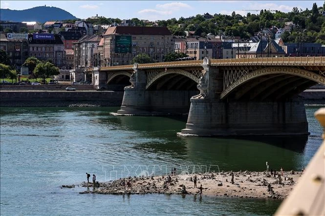 Sông Danube cạn nước, Romania đóng nhà máy hạt nhân duy nhất, Hungary xây đập ứng phó - Hình 1
