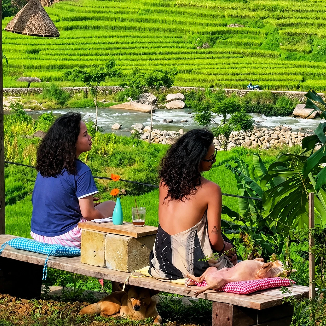 Những quán cà phê view cánh đồng gây sửng sốt ở Sa Pa - Hình 1