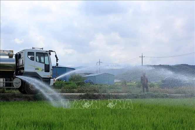 Nắng nóng cực đoan lan rộng, gia tăng sức ép lên nguồn nước và lương thực - Hình 3