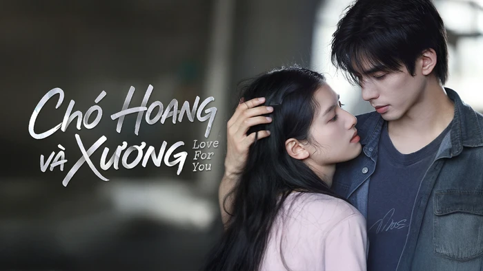 Top 10 phim Hoa ngữ được đánh giá cao nhất mùa hè 2026 - Hình 1