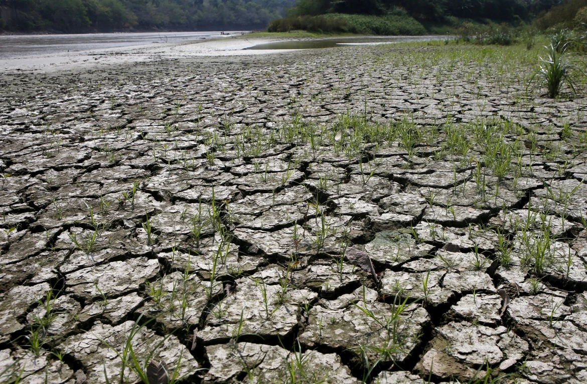 Malaysia đối mặt nguy cơ El Nino cường độ mạnh gây khô hạn và khói bụi - Hình 1