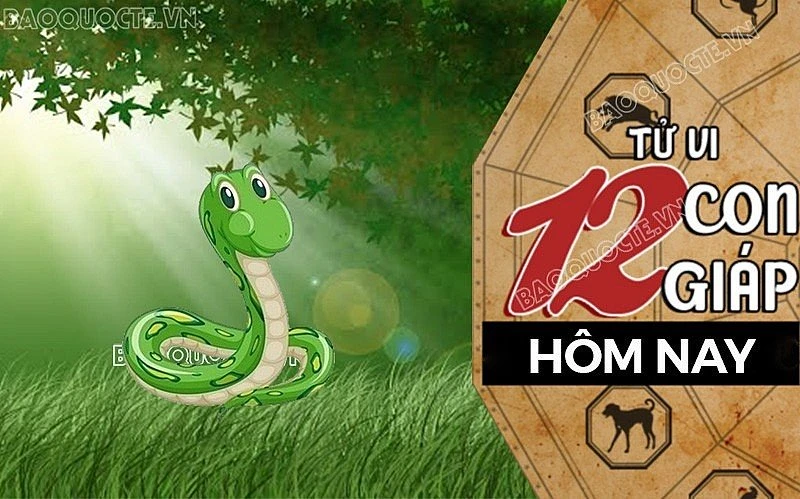 Tử vi hôm nay, xem tử vi 12 con giáp hôm nay ngày 19/8/2026: Tuổi Tỵ sự nghiệp hanh thông - Hình 2
