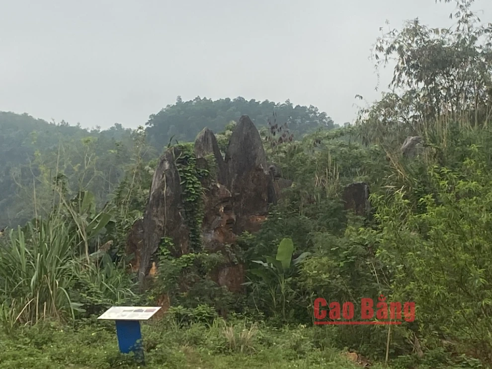 Vườn đá Hoàng Tung - kiệt tác hàng trăm triệu năm miền di sản cần được đánh thức - Hình 3