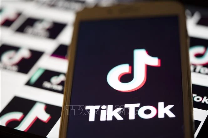 Thụy Điển siết TikTok, Meta vì gián tiếp tiếp tay cho tội phạm - Hình 1