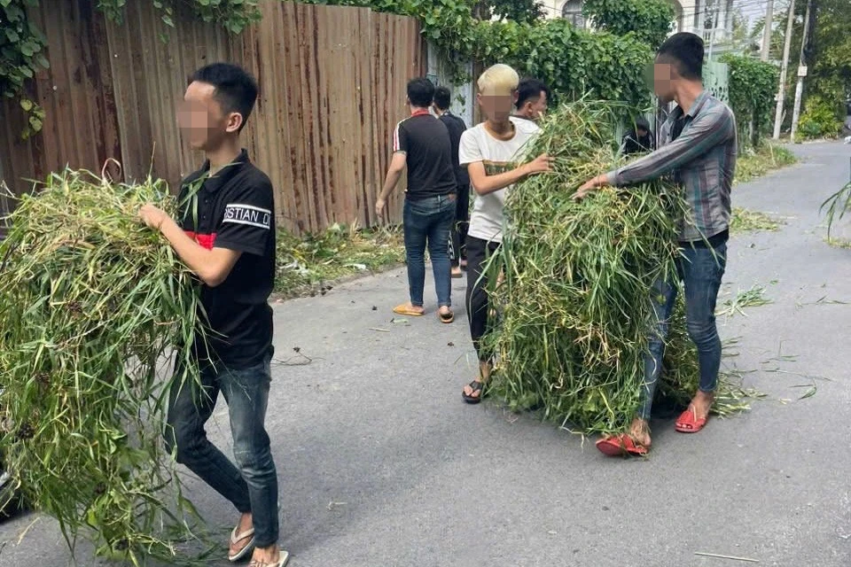Gây náo loạn lúc đi bão, nhóm thanh thiếu niên ở TPHCM phải dọn vệ sinh - Hình 3
