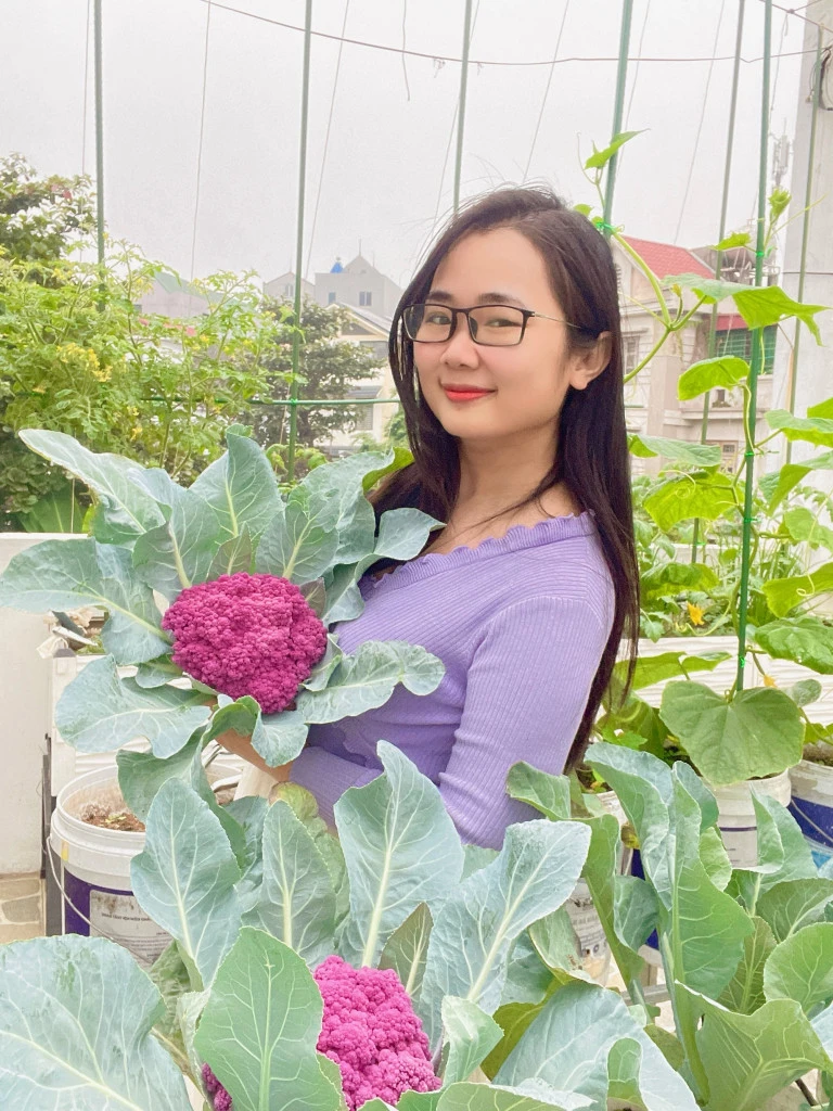 4 loại rau dễ trồng nhất tháng 8 này - Hình 1