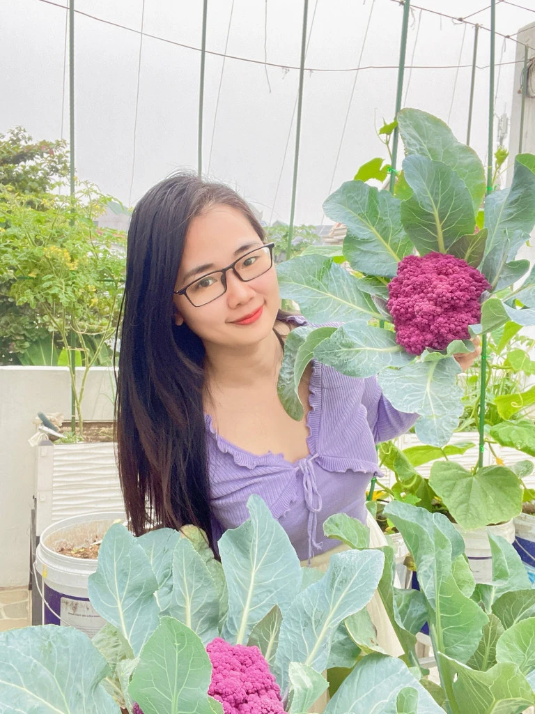 4 loại rau dễ trồng nhất tháng 8 này - Hình 3