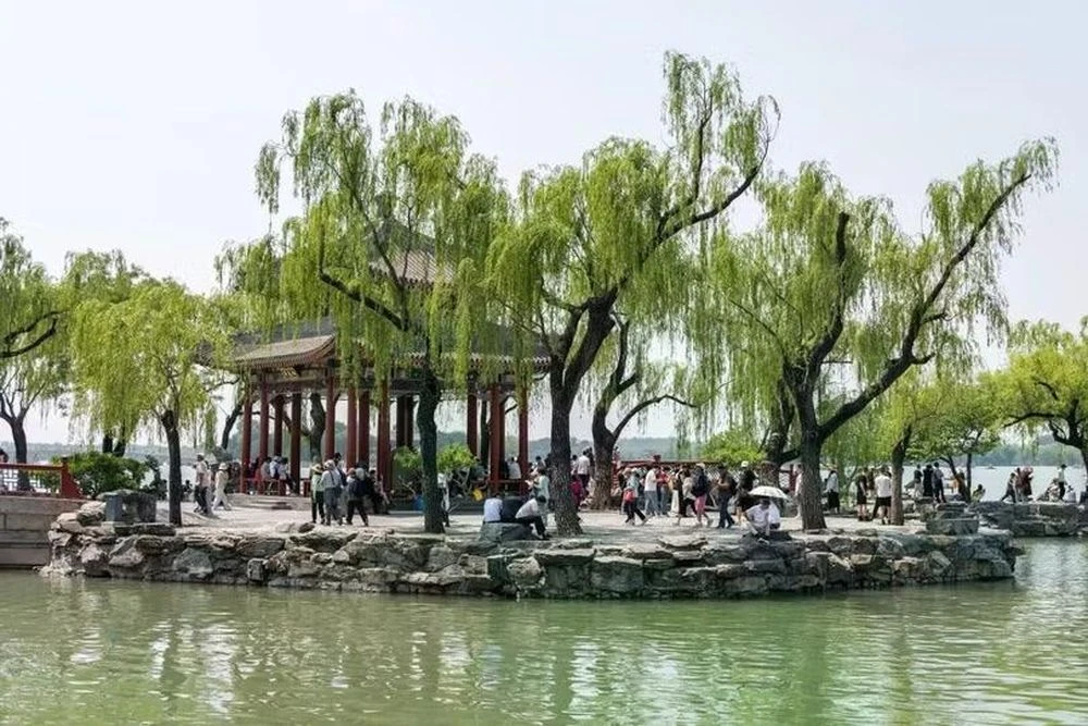 Hàng trăm nghìn cây xanh ở Bắc Kinh bất ngờ trở thành nguồn gây ô nhiễm - Hình 1
