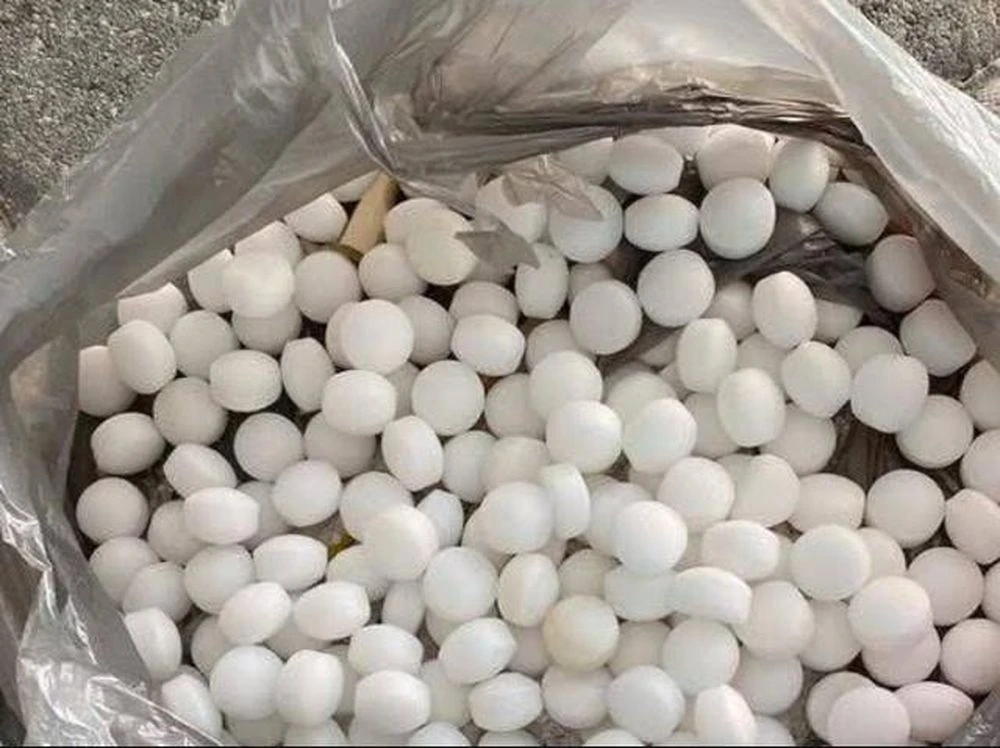 Ngửi thấy mùi lạ trên bãi biển, người dân đến gần rồi tá hỏa: Hàng trăm vật thể trắng nằm la liệt - Hình 2