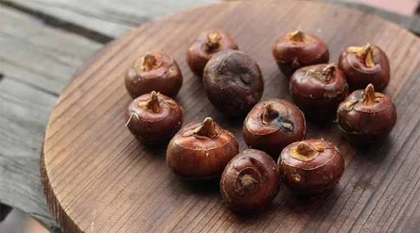 Hãy ra chợ mua ngay 3 loại rau củ quý giá đang vào mùa, nấu mỗi món chỉ 15 phút là xong mà ngon lại giúp khỏe mạnh - Hình 1