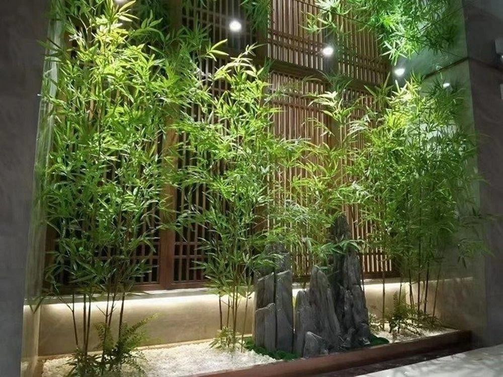 5 loại cây dễ chăm sóc, thích hợp trồng lối đi sân vườn - Hình 4