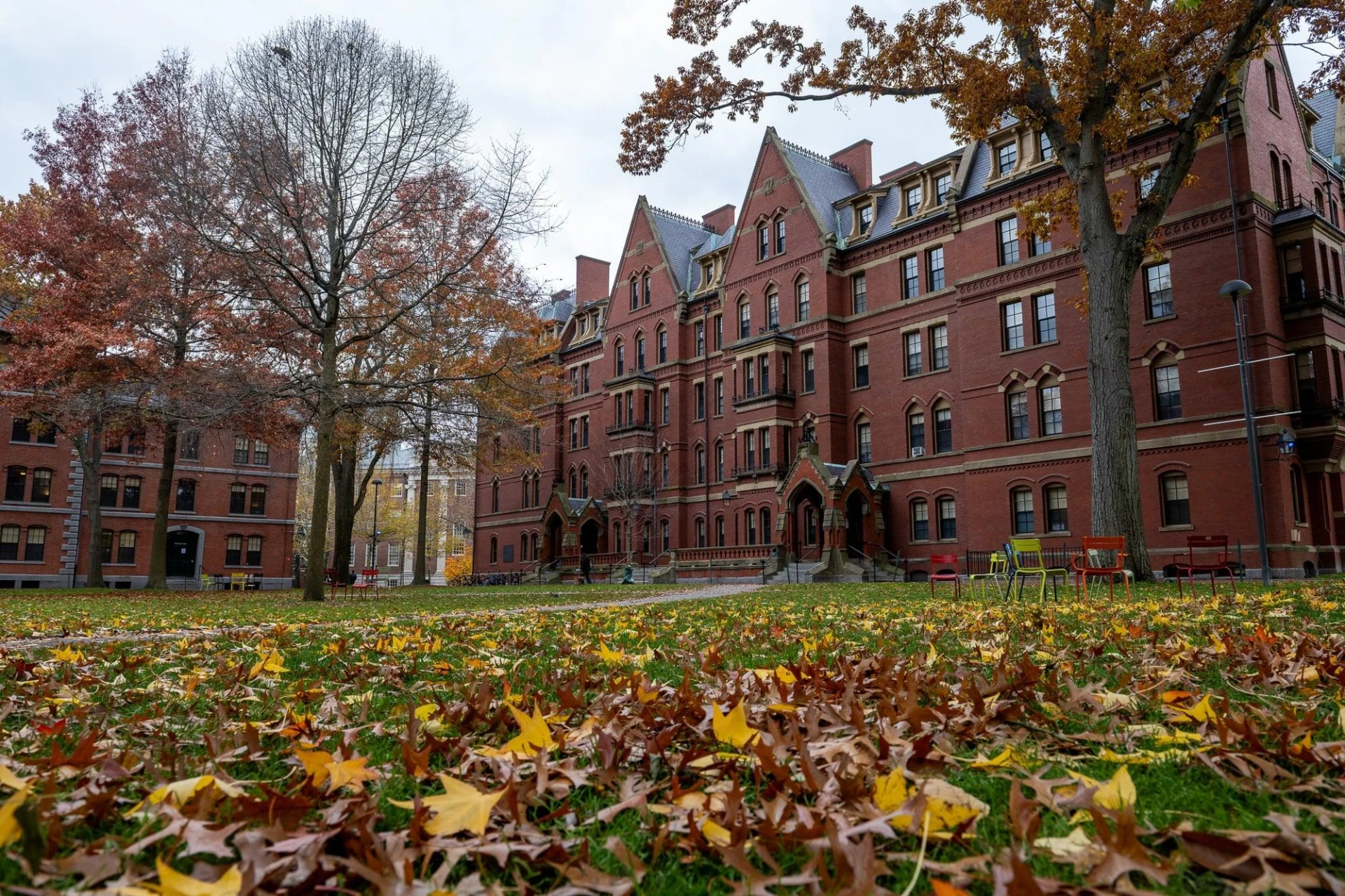 Bên trong KTX ĐH Harvard - ngôi trường nổi tiếng nhất hành tinh có gì? - Hình 2