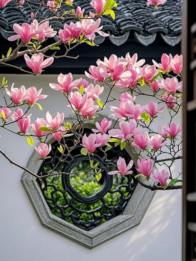 Giờ sinh Âm lịch của người có hậu vận an nhàn, sung túc - Hình 4