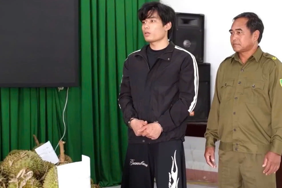 Thất nghiệp, thanh niên từ Hải Phòng vào Đắk Lắk cắt trộm 1,6 tấn sầu riêng - Hình 1