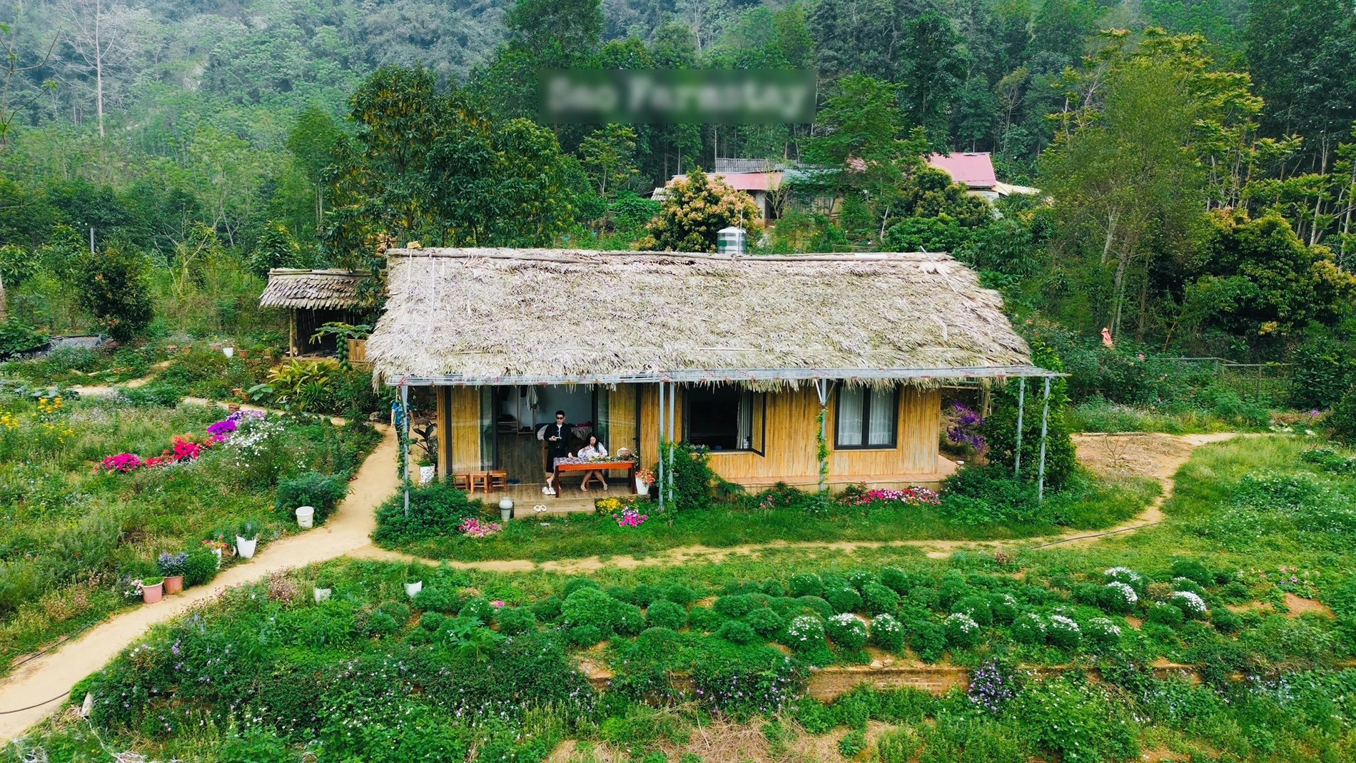 3 bản làng ở Tuyên Quang hút khách trốn nóng, có nơi biệt lập giữa rừng già - Hình 1