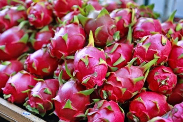 Đừng chỉ ăn vì ngon: Loại trái cây đang vào mùa này có thể giúp đường ruột hoạt động trơn tru hơn - Hình 3