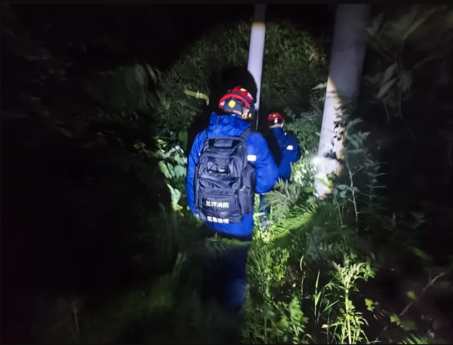 Bé gái 9 tuổi vào rừng hái nấm rồi mất tích, gần 20 giờ sau được cứu hộ tìm thấy ở nơi không ai ngờ - Hình 1