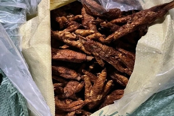 Phát hiện hơn 8,7 tấn chân gà không rõ nguồn gốc ở Quảng Ninh - Hình 1