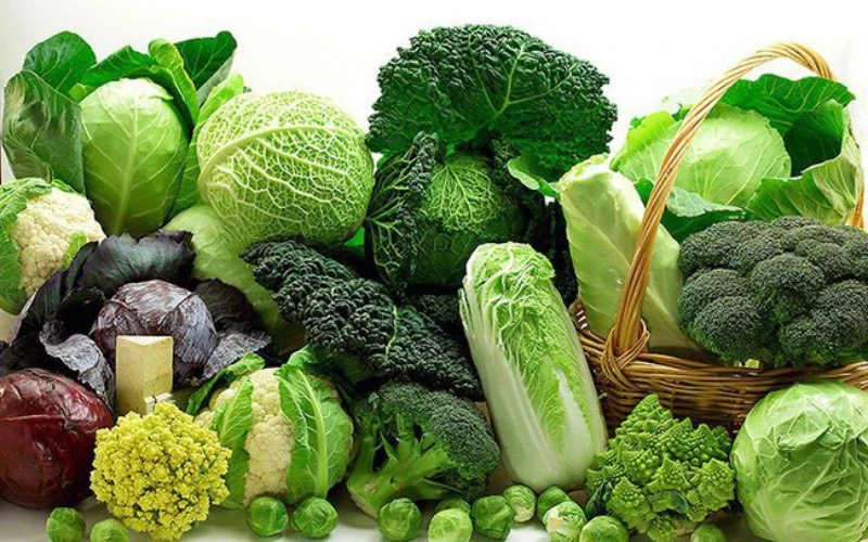 Trẻ không ăn đủ rau xanh, cơ thể có thể đối mặt với những nguy cơ gì? - Hình 1
