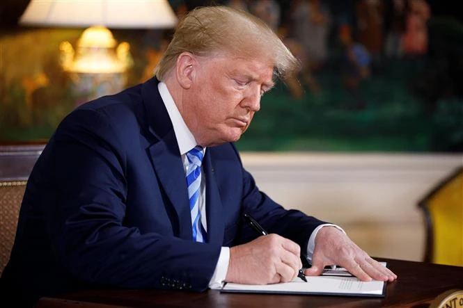 Vì sao Tổng thống Trump theo đuổi chính sách siết quyền công dân theo nơi sinh? - Hình 1