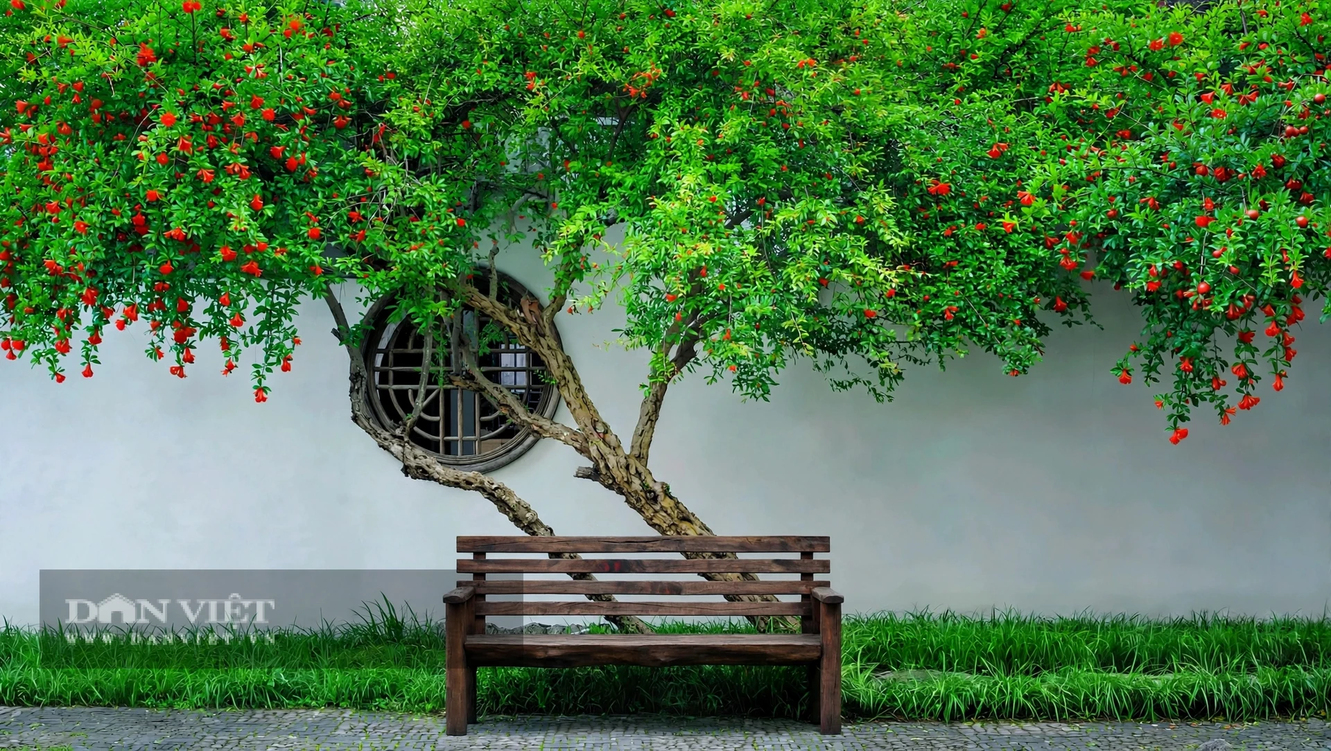 Cây cảnh phong thủy số 1 người giàu coi trọng, mùa thu thắp nghìn đèn lồng, phúc khí 100 năm bén rễ - Hình 7