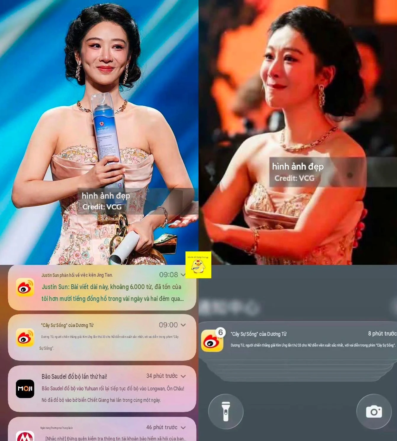 Dương Tử bị vạch mặt - Hình 2