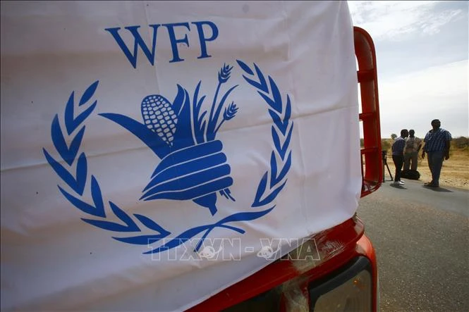 WFP mở rộng dự án phát triển hệ thống lương thực ở Cuba - Hình 1