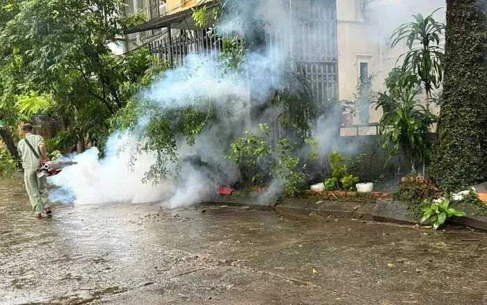 Sốt xuất huyết ở người trẻ vẫn có thể diễn tiến nặng - Hình 4
