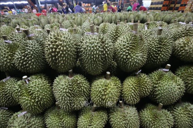 Thái Lan tranh luận về dự thảo Luật Sầu riêng - Hình 1