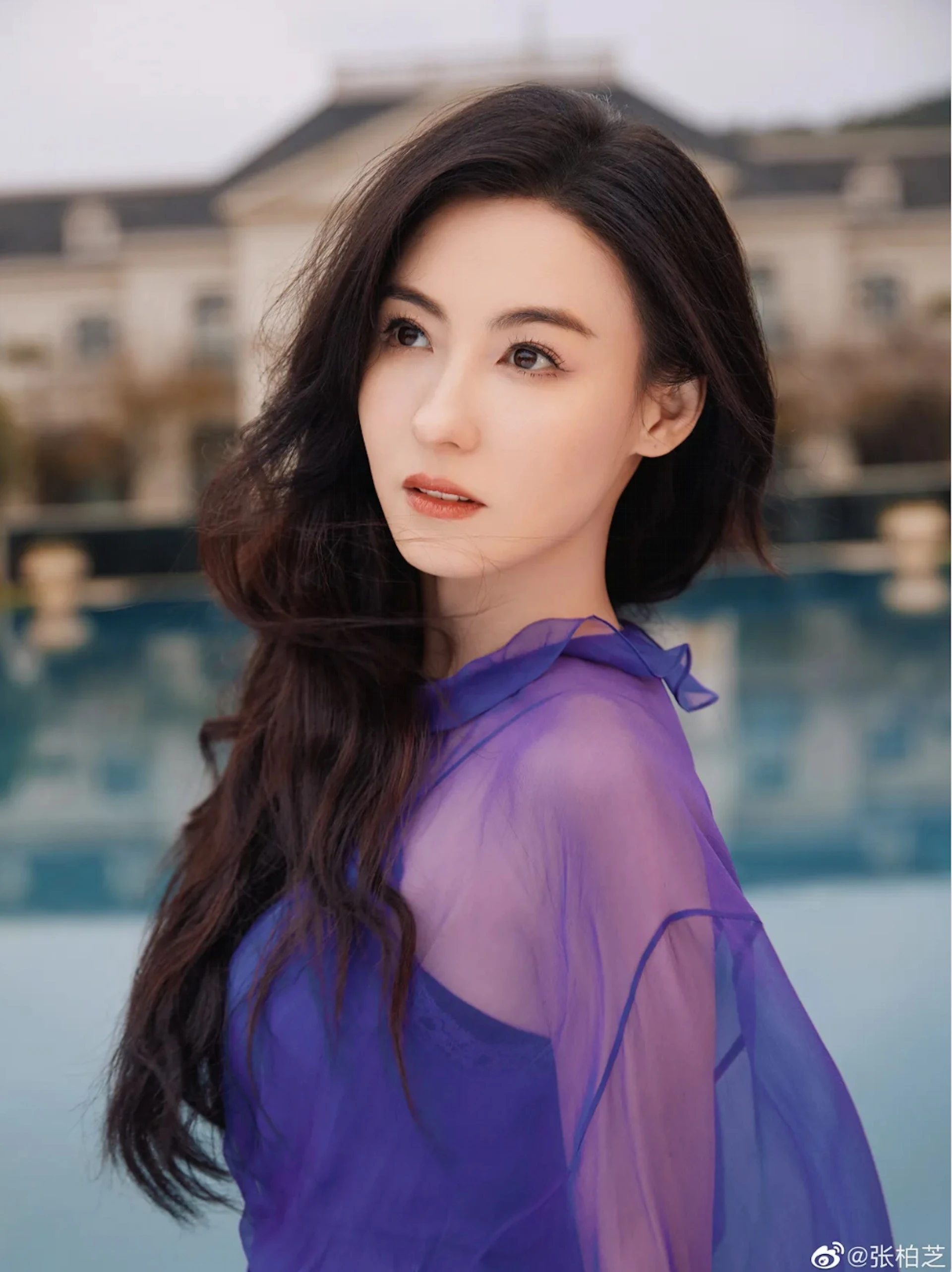 Quá tiếc cho Trương Bá Chi - Hình 3